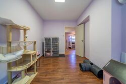 Blk 421 Hougang Avenue 10 (Hougang), HDB 4 Rooms #547537081